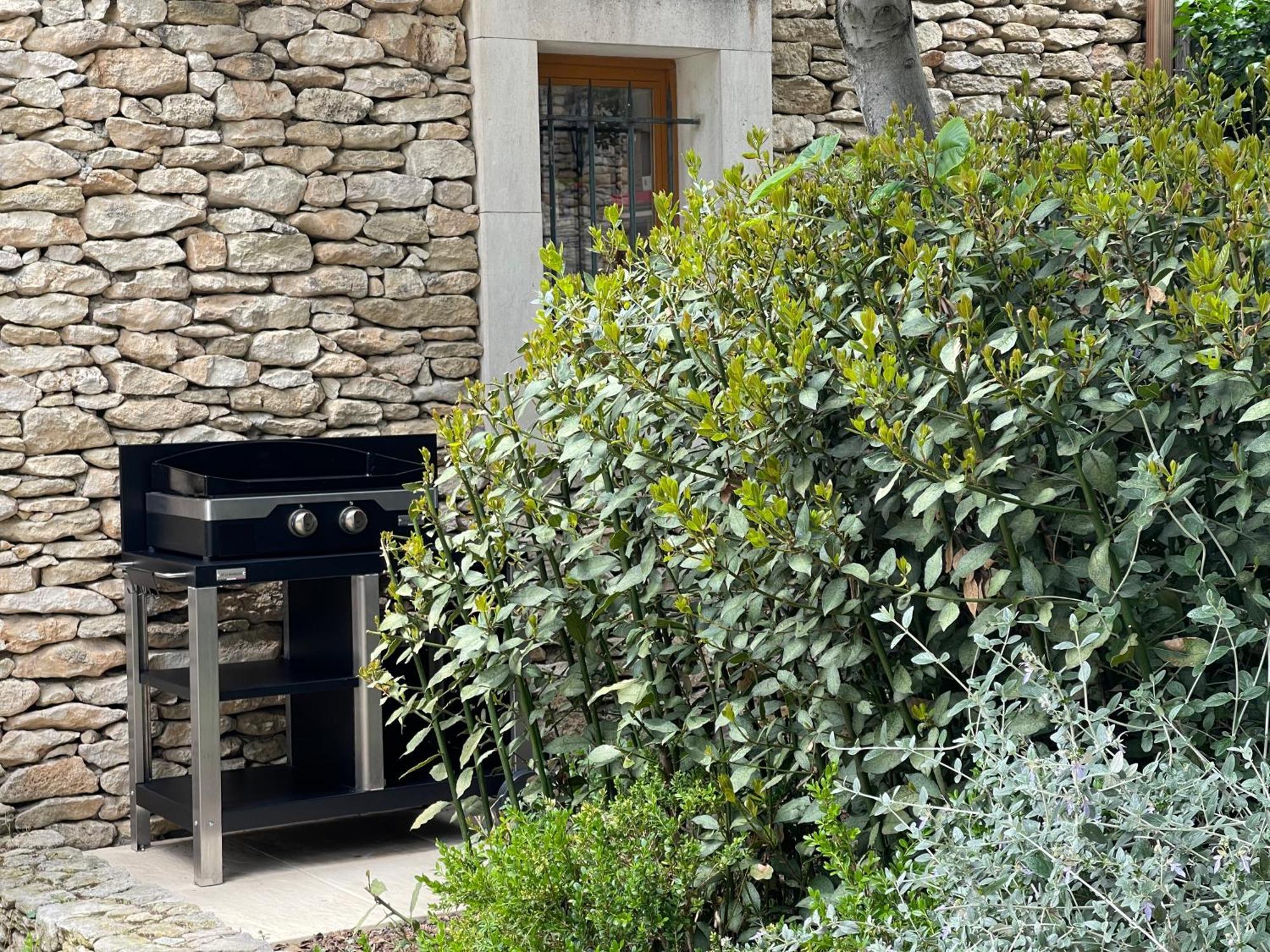 La Villa Baronnette Cabrieres-d'Avignon Exterior foto